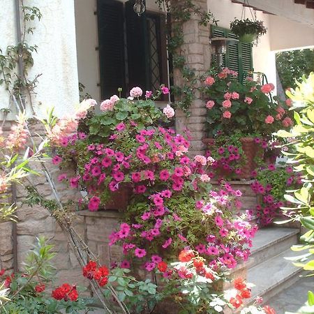 La Zattera Camere ซานวินเชนโซ ภายนอก รูปภาพ