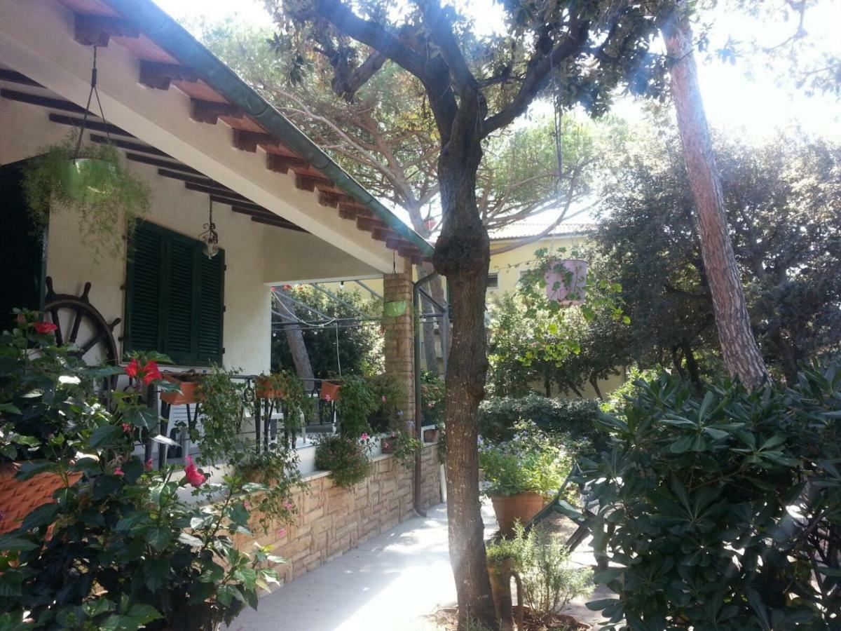 La Zattera Camere ซานวินเชนโซ ภายนอก รูปภาพ